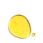 CLARINS FACE SANTAL TREATMENT OIL Olejek pielęgnacyjny do twarzy do cery suchej  30ML - 2
