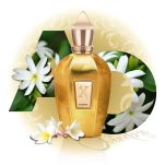 XERJOFF V ACCENTO OVERDOSE Woda perfumowana PRÓBKA 1ML - 3