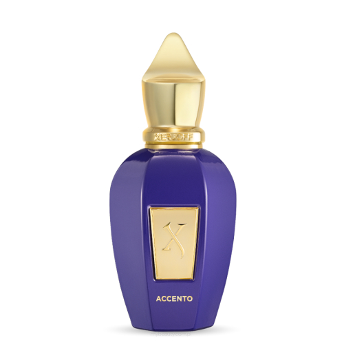 XERJOFF VIBE ACCENTO Woda perfumowana 100ML