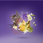 XERJOFF VIBE PURPLE ACCENTO Woda perfumowana 100ML - 4