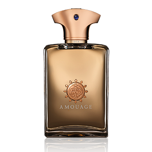 AMOUAGE DIA MAN Woda perfumowana 100ML